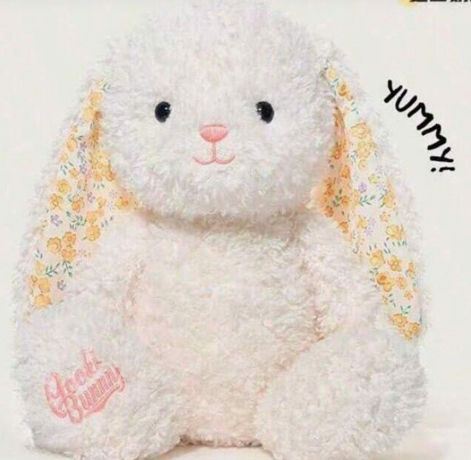 Plush Rabbit